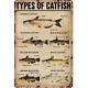 8 X 12vintage Fishing Metal Sign Types Of Catfish Knowledge Plaque Wall Decor