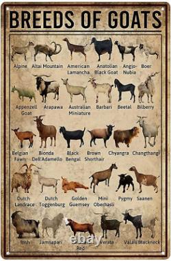 Breeds of Goat Animal Farming Knowledge Metal Sign Vintage Farm Goat Tin Sign Po