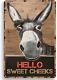 Funny Bathroom Quote Metal Tin Sign Wall Decor Vintage Hello Sweet Cheeks Donkey