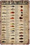 Vintage Fishing Metal Sign Types Of Fishing Lures Knowledge Tin Sign Plaque Wall