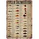 Vintage Fishing Metal Sign Types Of Saltwater Fish Knowledge Tin Sign Plaque